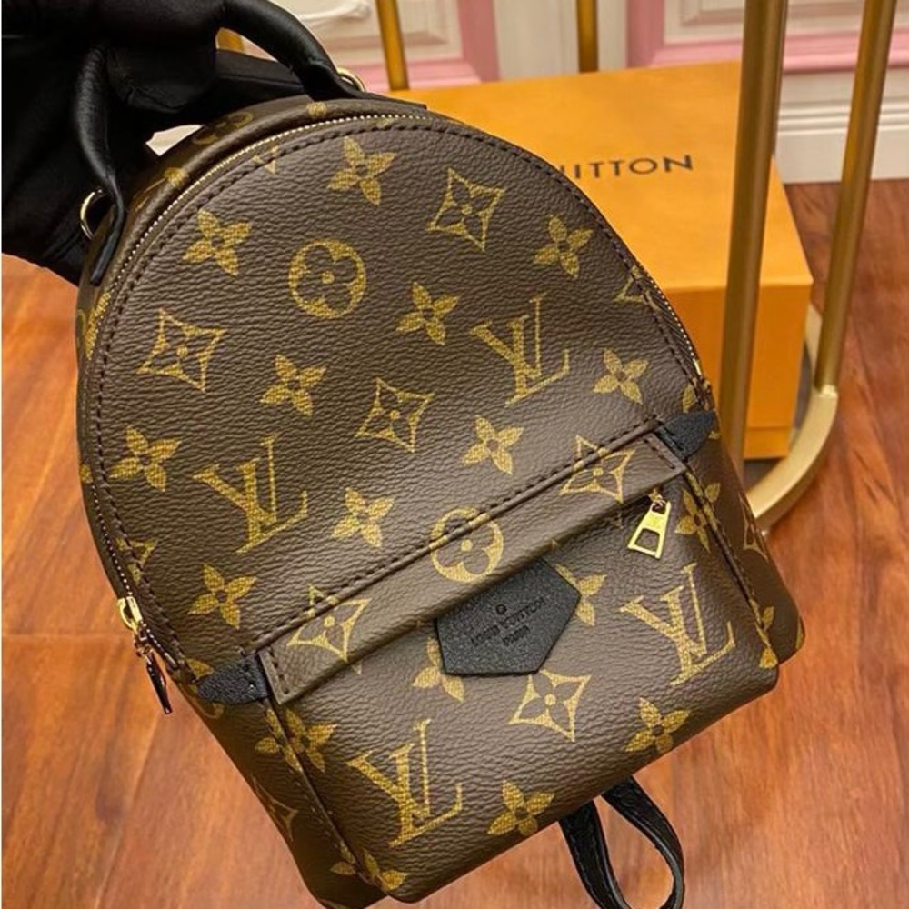 louis vuitton monogram canvas palm spring mini backpack